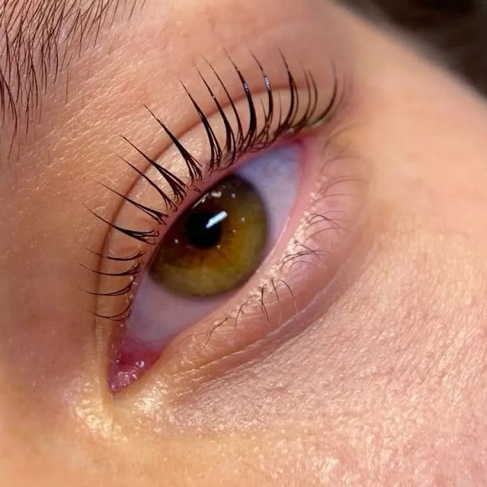 Korean Lash Lift & Brow Lamination Course